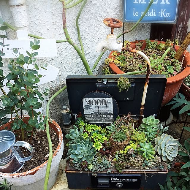 coraruさんの実例写真