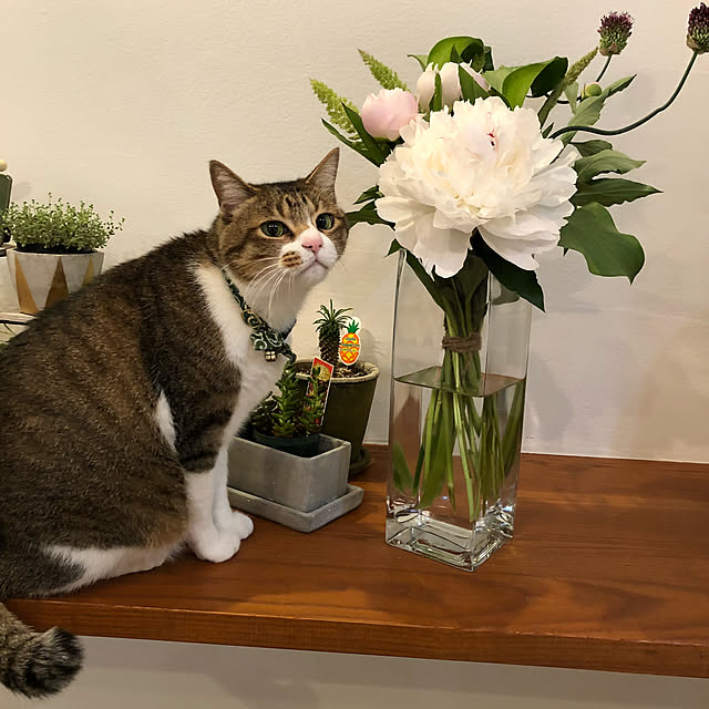 Kasumiさんの実例写真