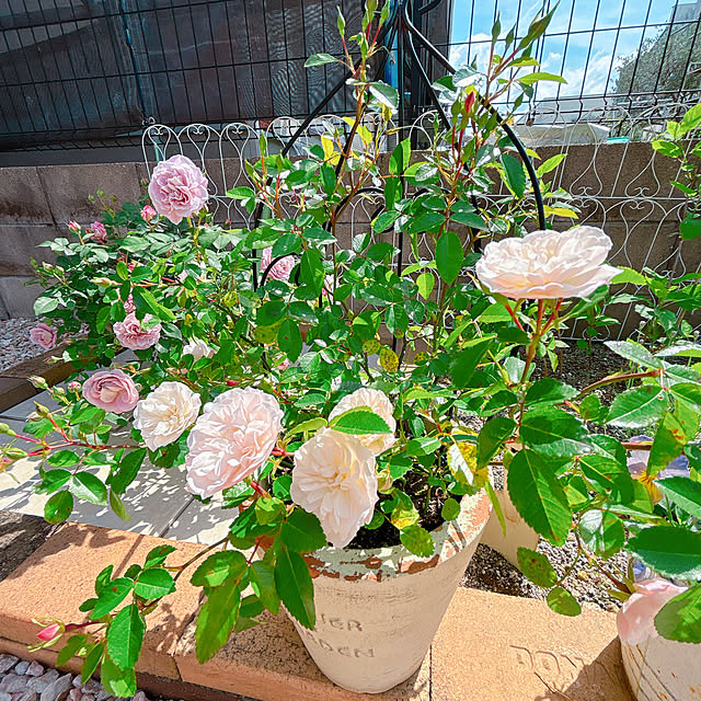 moolさんの部屋