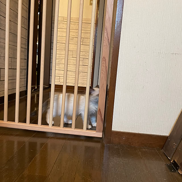 hima820さんの部屋