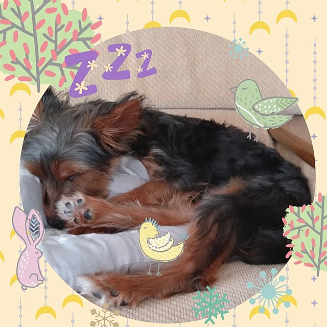 chinon721さんの部屋