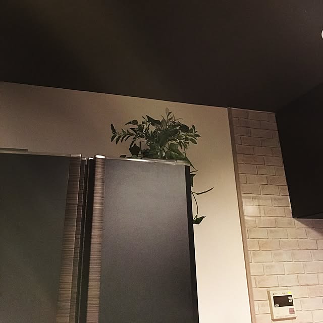cocotaiさんの実例写真