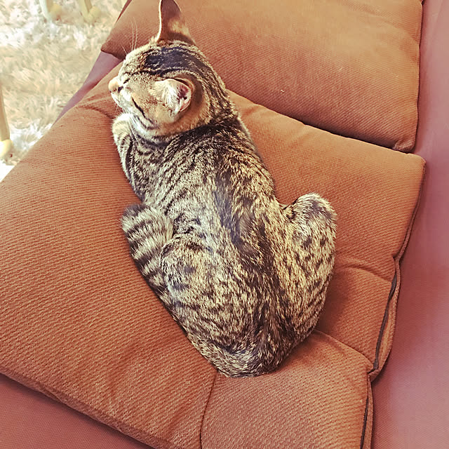 emikoさんの実例写真