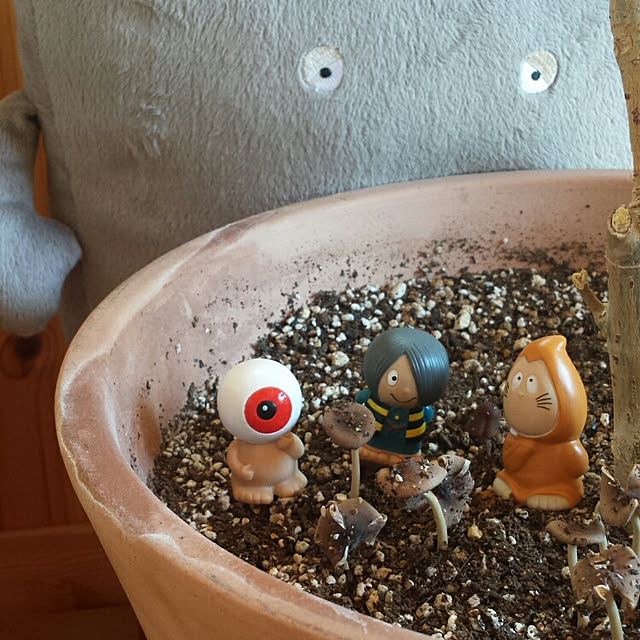 25gaeruさんの実例写真