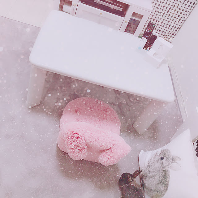 pokoftbさんの実例写真