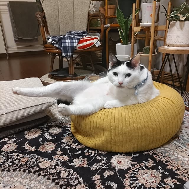 yuuさんの部屋