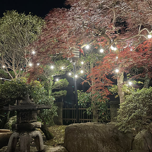 shin0719さんの実例写真
