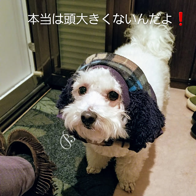 takoさんの実例写真