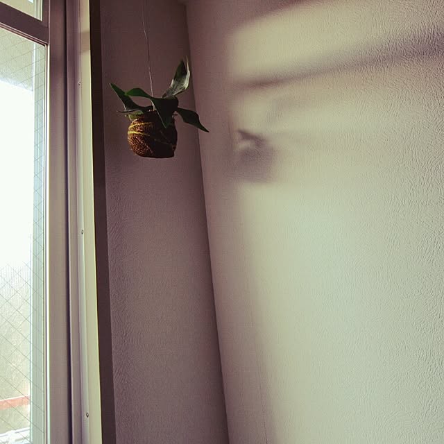 coloriさんの実例写真