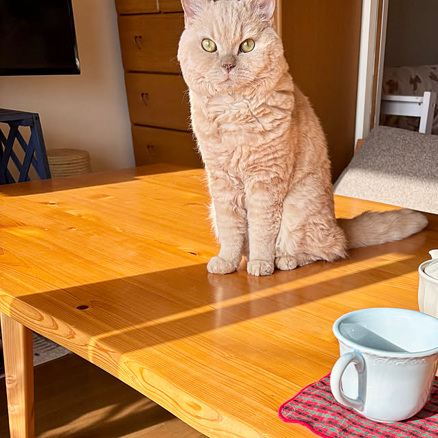 naokoさんの部屋