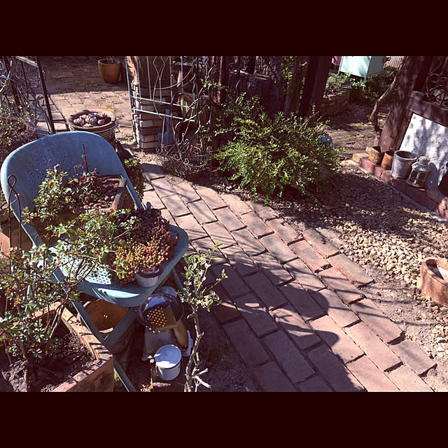 marusanさんの実例写真