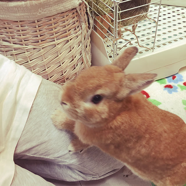 Yasuyukiさんの実例写真