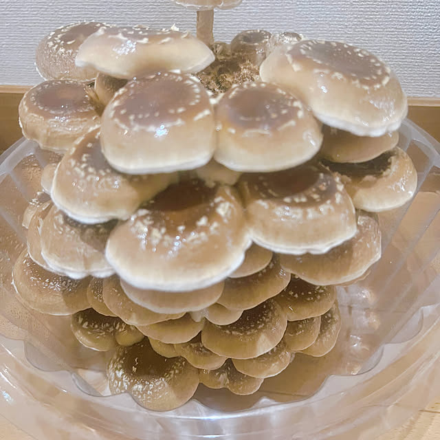 makopyzさんの部屋