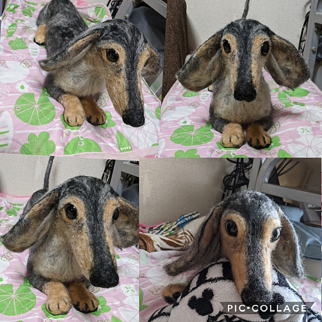 mokaさんの実例写真