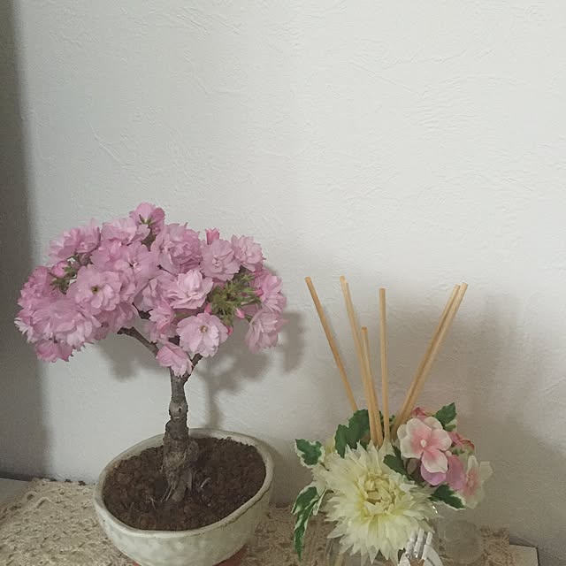 atsukoさんの実例写真