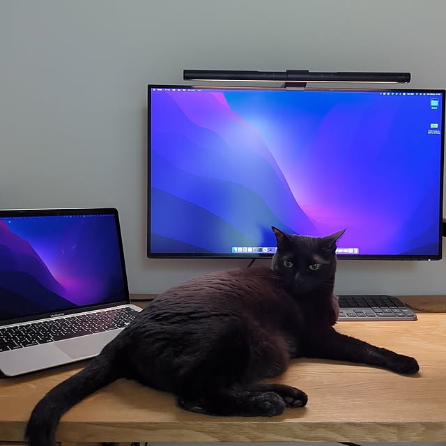 机/ねこのいる日常のインテリア実例 - 2024-06-15 21:57:26