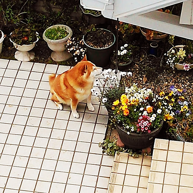 lovery634_rさんの実例写真