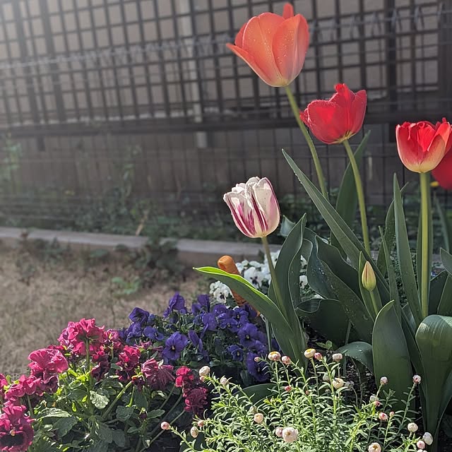 reeさんの実例写真