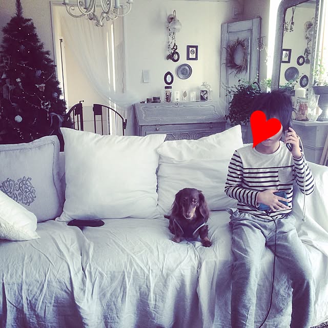 miiさんの実例写真