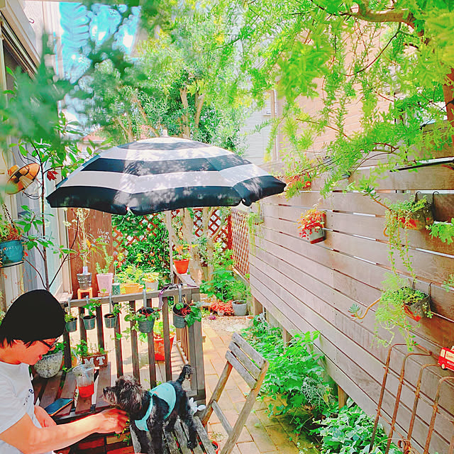 risaさんの実例写真