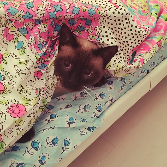 yumoさんの実例写真