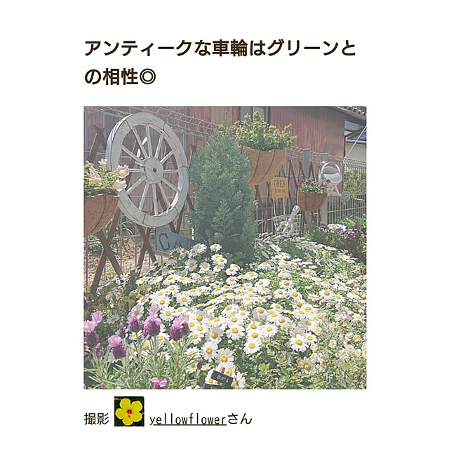 yellowflowerさんの実例写真
