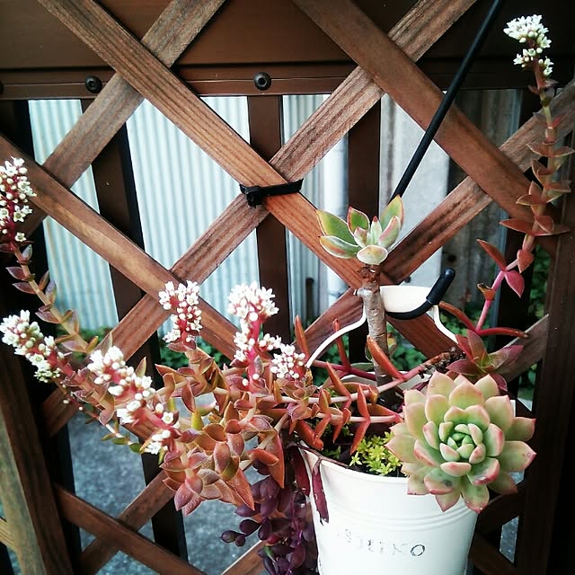 VERANDARJUNさんの実例写真