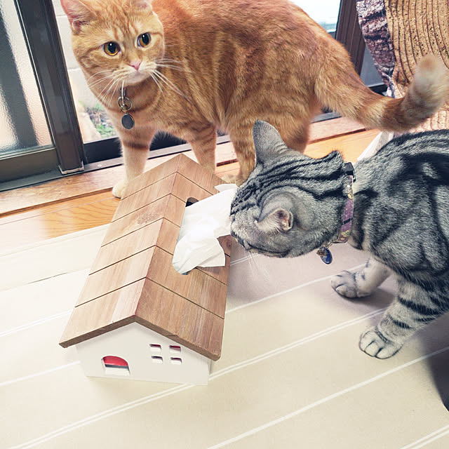 fruityanさんの実例写真