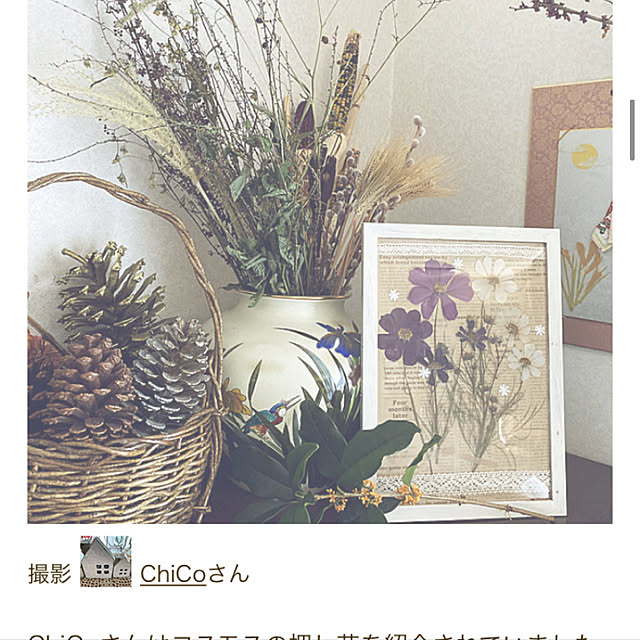 ChiCoさんの実例写真