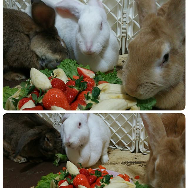 Mikaさんの実例写真