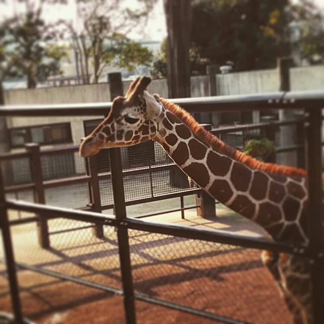 Sukeさんの実例写真