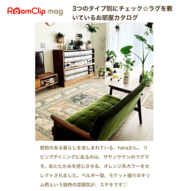 haraさんの実例写真