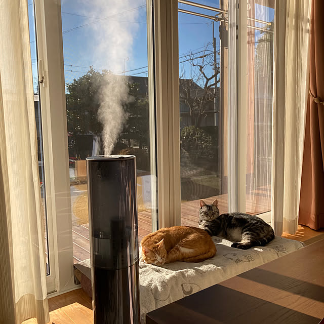 mkmkmoominさんの実例写真