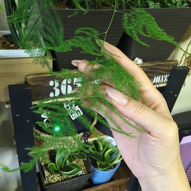 aym0418さんの実例写真