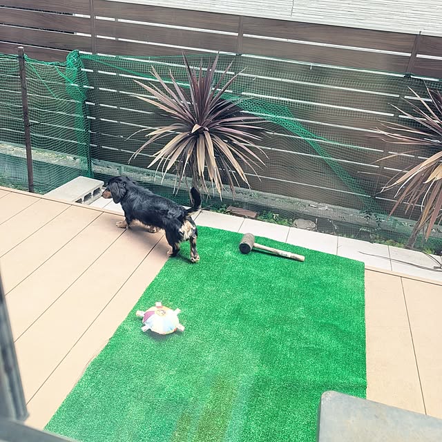 mikoさんの部屋