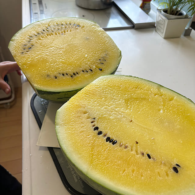 maayaさんの実例写真