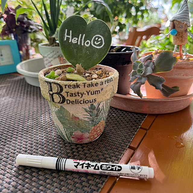 Aqettyさんの実例写真