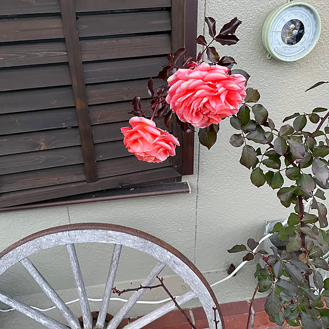 shin0719さんの部屋