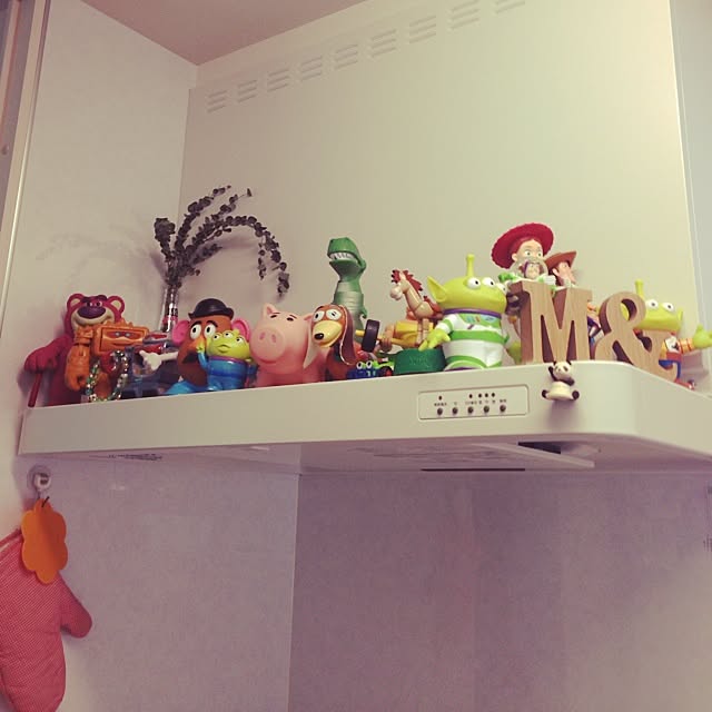 ALPSさんの実例写真