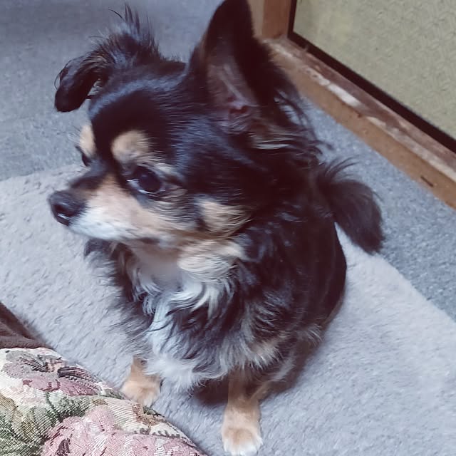 hiro.904さんの部屋