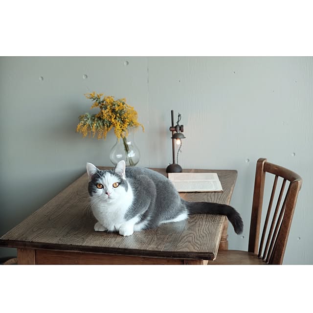 yunさんの実例写真