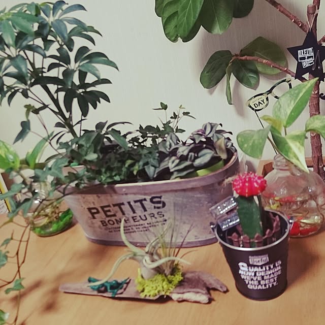 megu.さんの実例写真