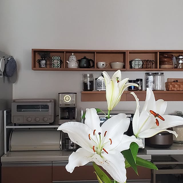 pomさんの実例写真