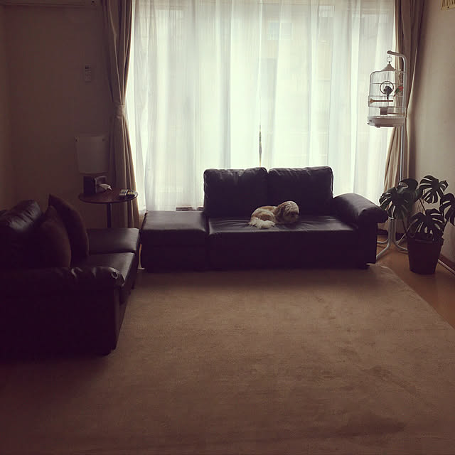 my_homeさんの実例写真