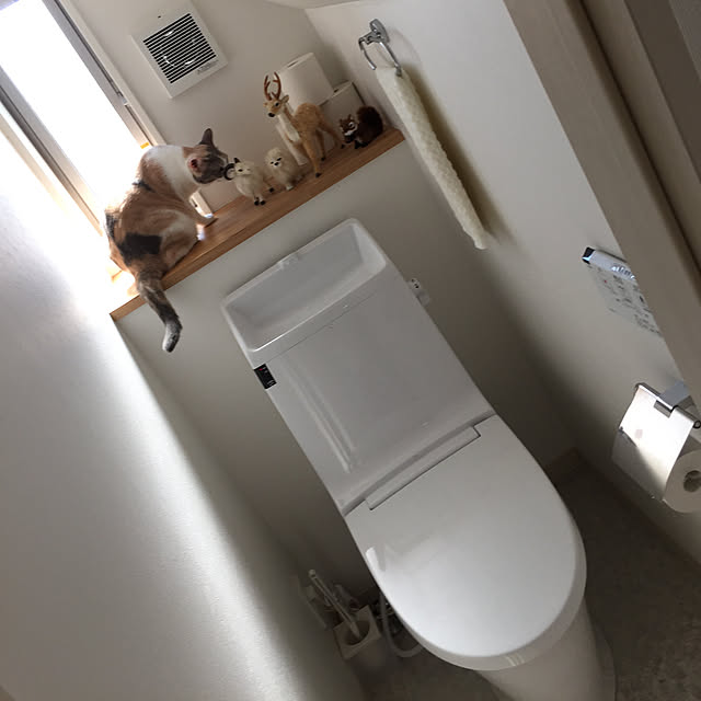 Yoshieさんの実例写真
