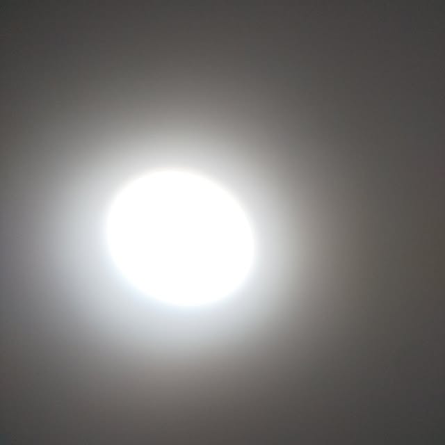 2さんの実例写真