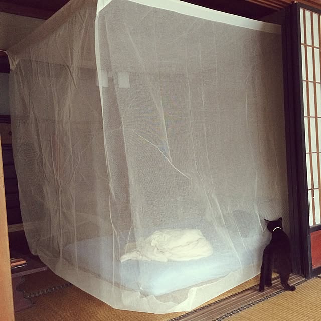 natさんの実例写真