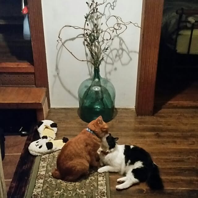 Anmituさんの実例写真