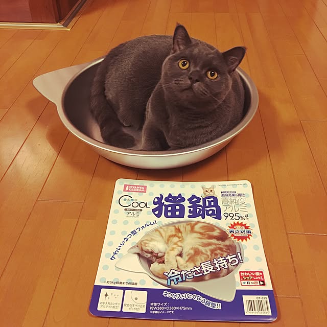 Shojiさんの実例写真