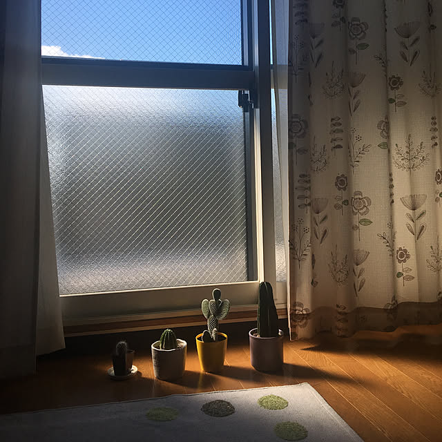 styさんの実例写真